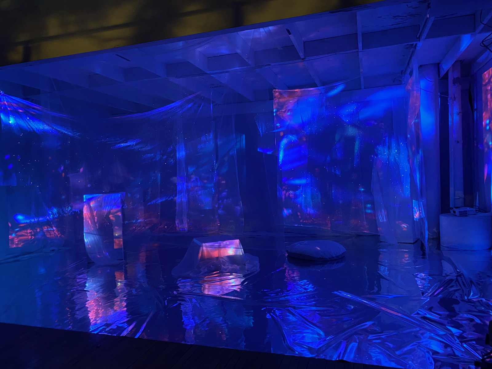 Exiled in Light :|: Transfiguration |